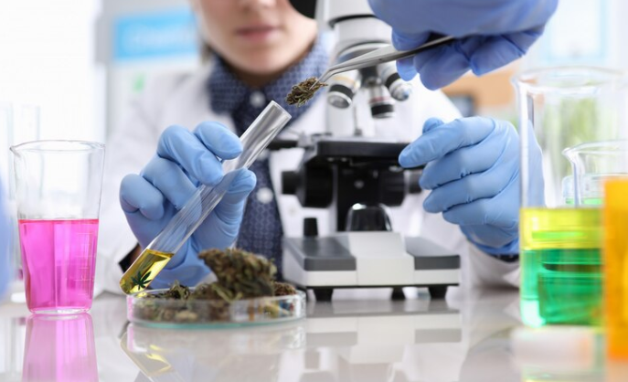 Animal Science Course: Comprehensive Study in Animal Biology and Care