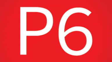Primavera P6 from Basic to the Advanced Level