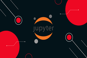 Course on Jupyter Notebook - Big Data Visualization Tool