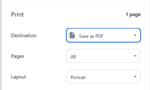 A screenshot of a browser print dialogue box with