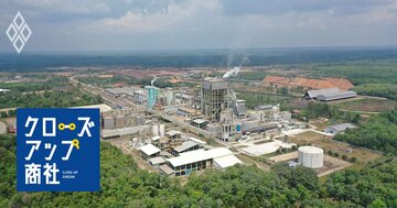 商社の鉄則に逆らい苦節20年、丸紅が「金食い虫」のインドネシア植林・パルプ事業でつかんだ「3つの価値」とは?