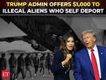 Image for Trump offers $1,000 to illegal aliens if...