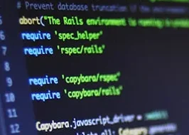 Type d'entreprise : informatique et télécoms