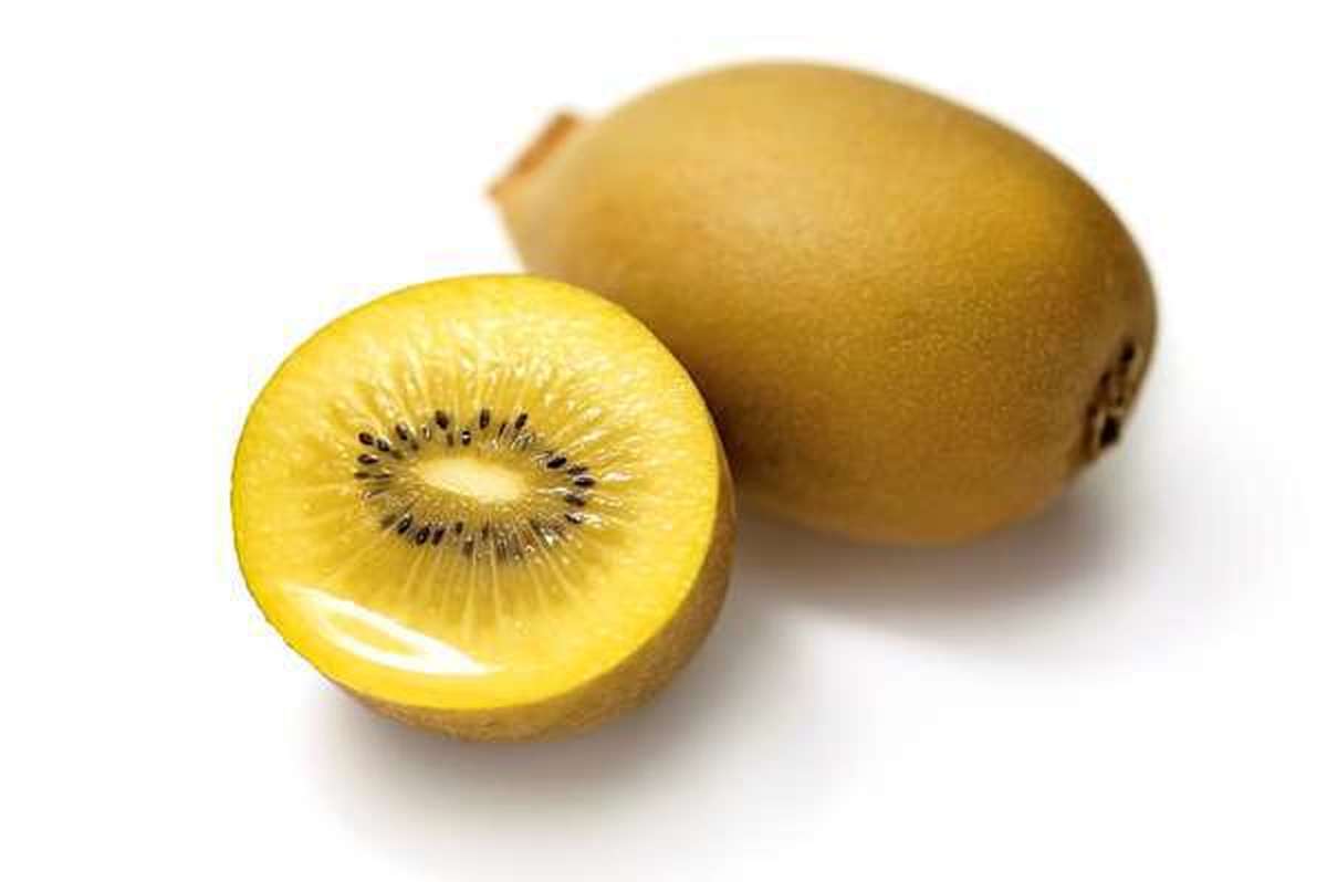 Kiwi jaune "Sungold" BIO (calibre moyen), Nouvelle-Zélande