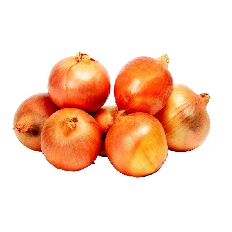 Oignon jaune BIO du Finistère Nord - Direct producteur (filet de 1 kg), France