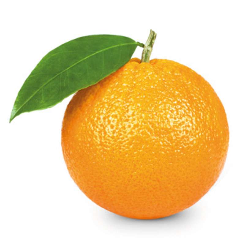 Orange de table BIO (calibre moyen), Espagne