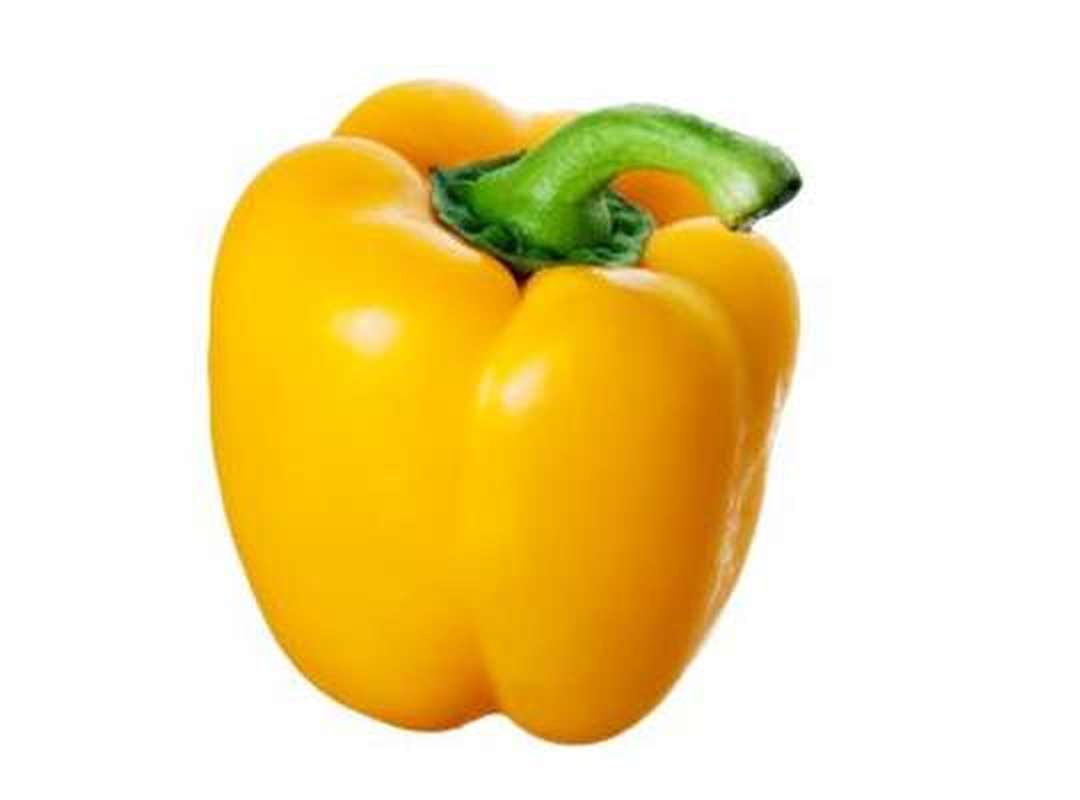 Poivron jaune BIO (petit calibre), Espagne