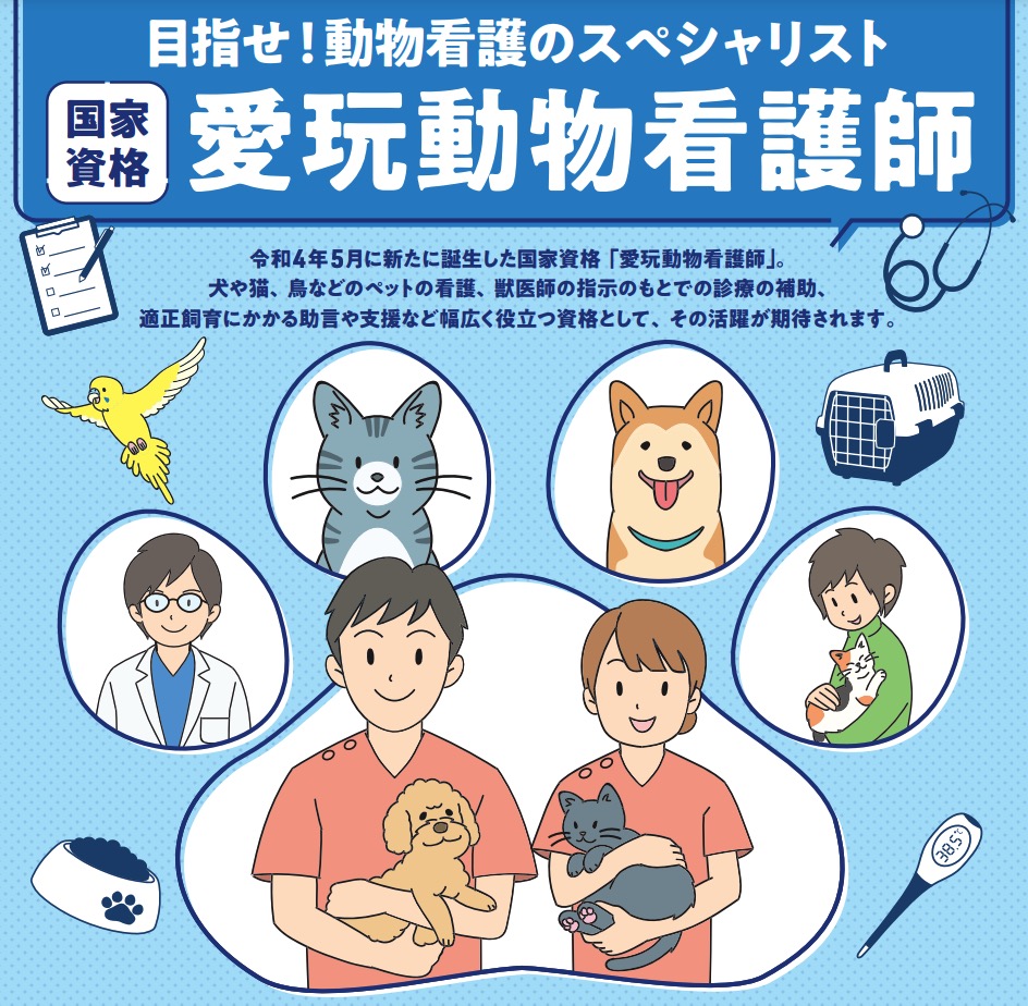 通信講座で取れる資格