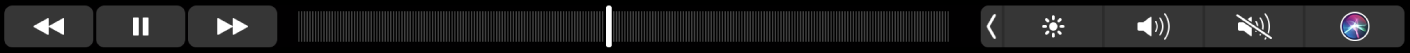La Touch Bar di Musica con i pulsanti per mandare indietro, mettere in pausa o mandare avanti velocemente i contenuti in riproduzione. Inoltre, è presente anche la barra di scorrimento per spostarsi all'interno di un brano.