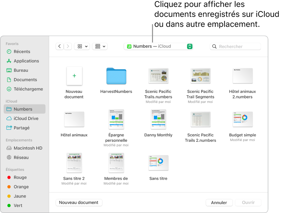La boîte de dialogue Ouvrir avec la barre latérale s’ouvre à gauche et le lecteur iCloud Drive sélectionné apparaît dans le menu contextuel en haut de l’écran. Les dossiers de Keynote, Numbers et Pages apparaissent dans la boîte de dialogue ainsi qu’un bouton Nouveau document.