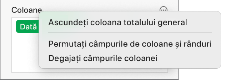 Meniul Mai multe opțiuni de câmpuri afișând comenzile pentru ascunderea totalurilor generale, permutarea câmpurilor de coloane și rânduri și ștergerea câmpurilor.