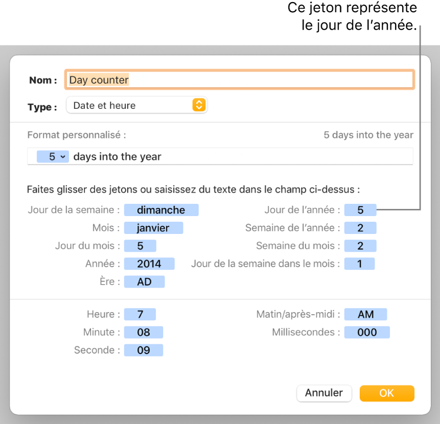 Fenêtre de format de cellule personnalisé présentant les commandes permettant de choisir un format de date et d’heure personnalisé.