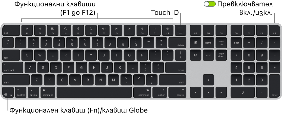 Клавиатурата Magic Keyboard с Touch ID и Numeric Keypad (Клавиатура с цифри), която показва редицата с функционални клавиши и Touch ID в горния край и клавиша Function (Fn)/Globe най-долу вляво.