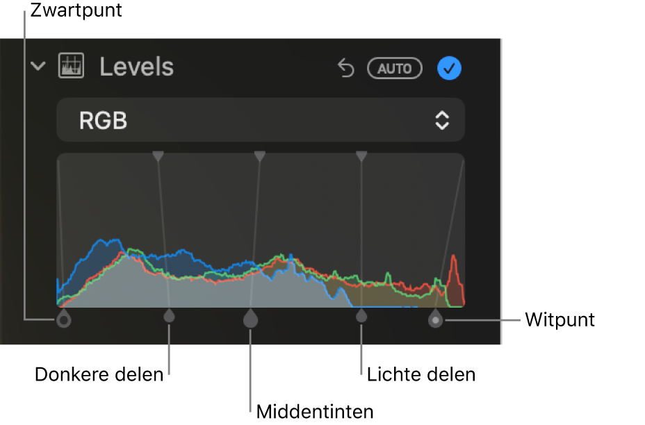 De niveauregelaars in het paneel 'Pas aan', met het RGB-histogram en daaronder grepen met (van links naar rechts) zwartpunt, donkere delen, middentinten, lichte delen en witpunt.