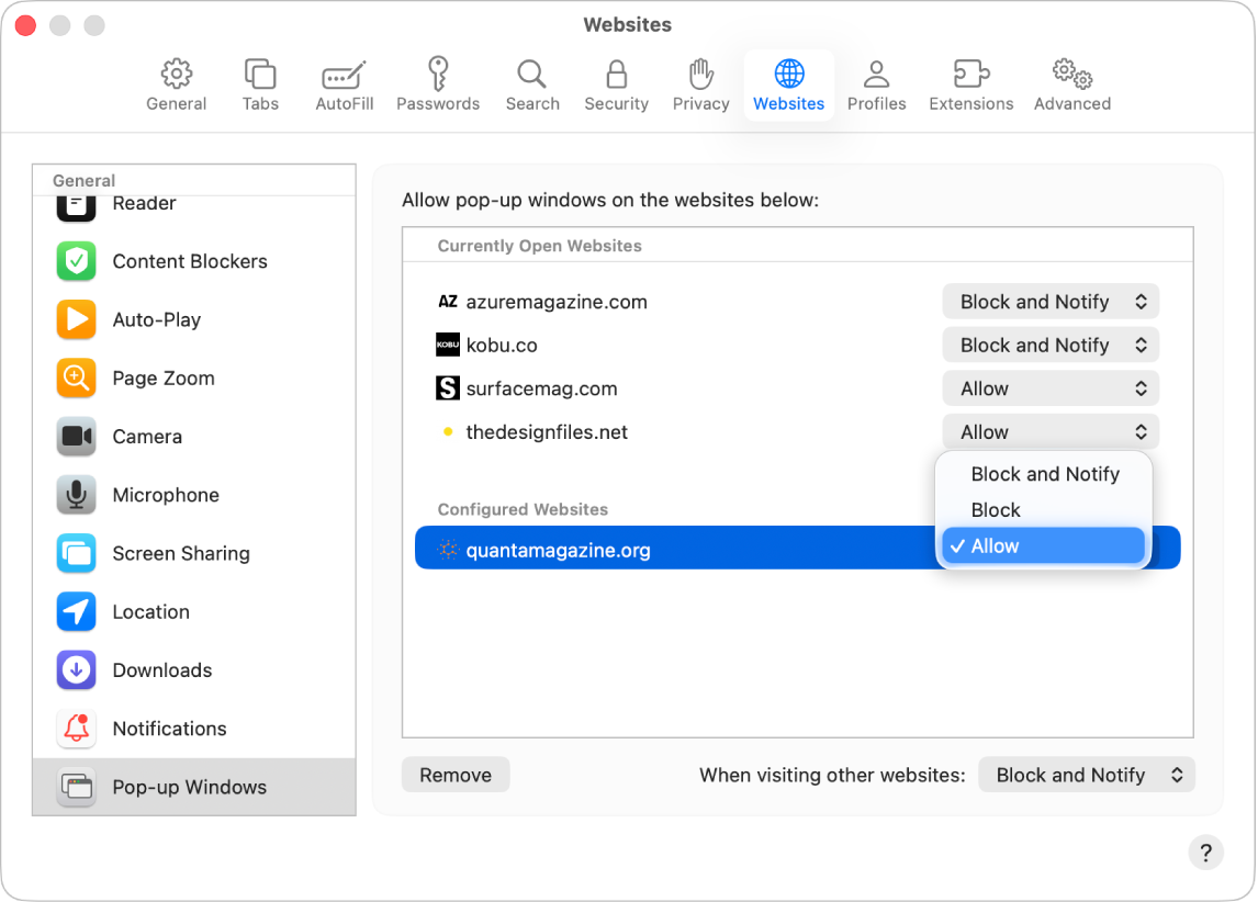 Les options Pop-up pour les réglages Safari, avec Autoriser sélectionné pour un site web configuré.