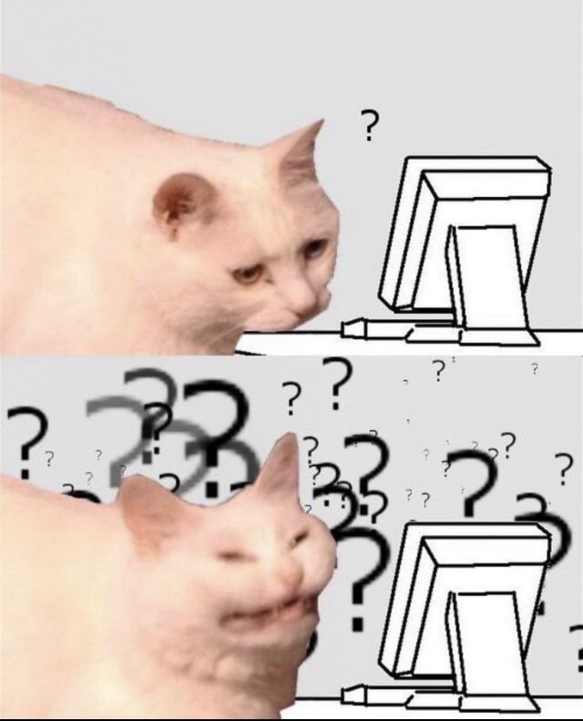 This may contain: a cat looking at a computer screen with question marks on it's side and the caption says, what??