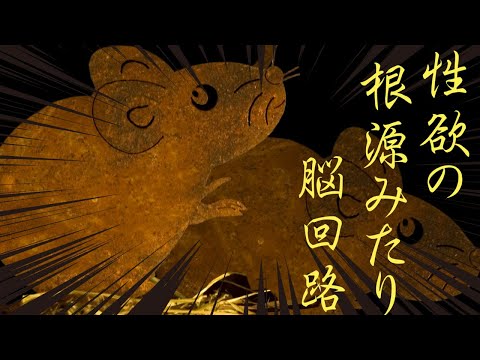 何にでも欲情!オスの性欲を支配する脳回路を発見!