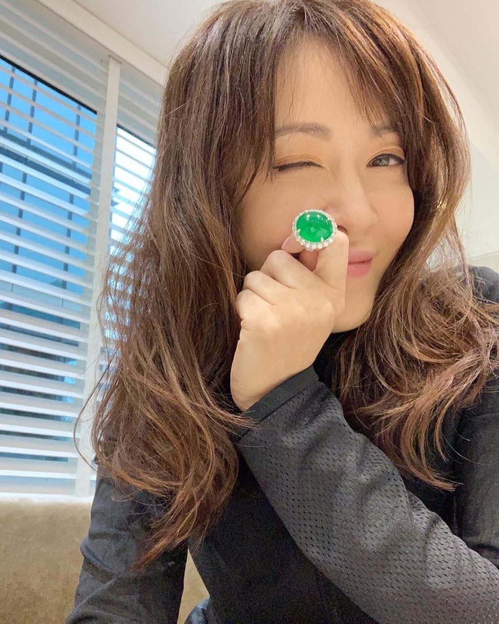 向海嵐轉行變翡翠專家。