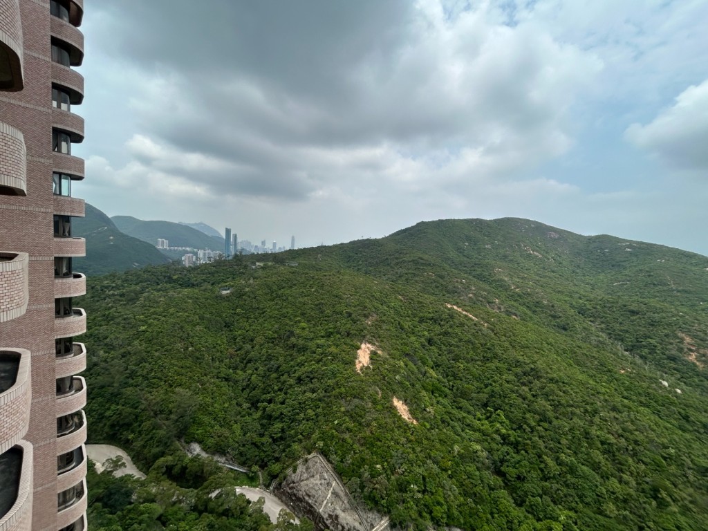 从单位放眼望去，饱览翠绿群山，眺望中区繁华景致。