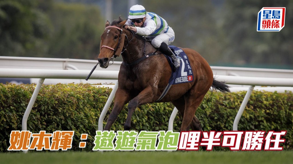 姚本輝深信「遨遊氣泡」(圖) 能克服增程帶來的考驗,達成橫掃三冠大賽全部三關賽事的偉業。