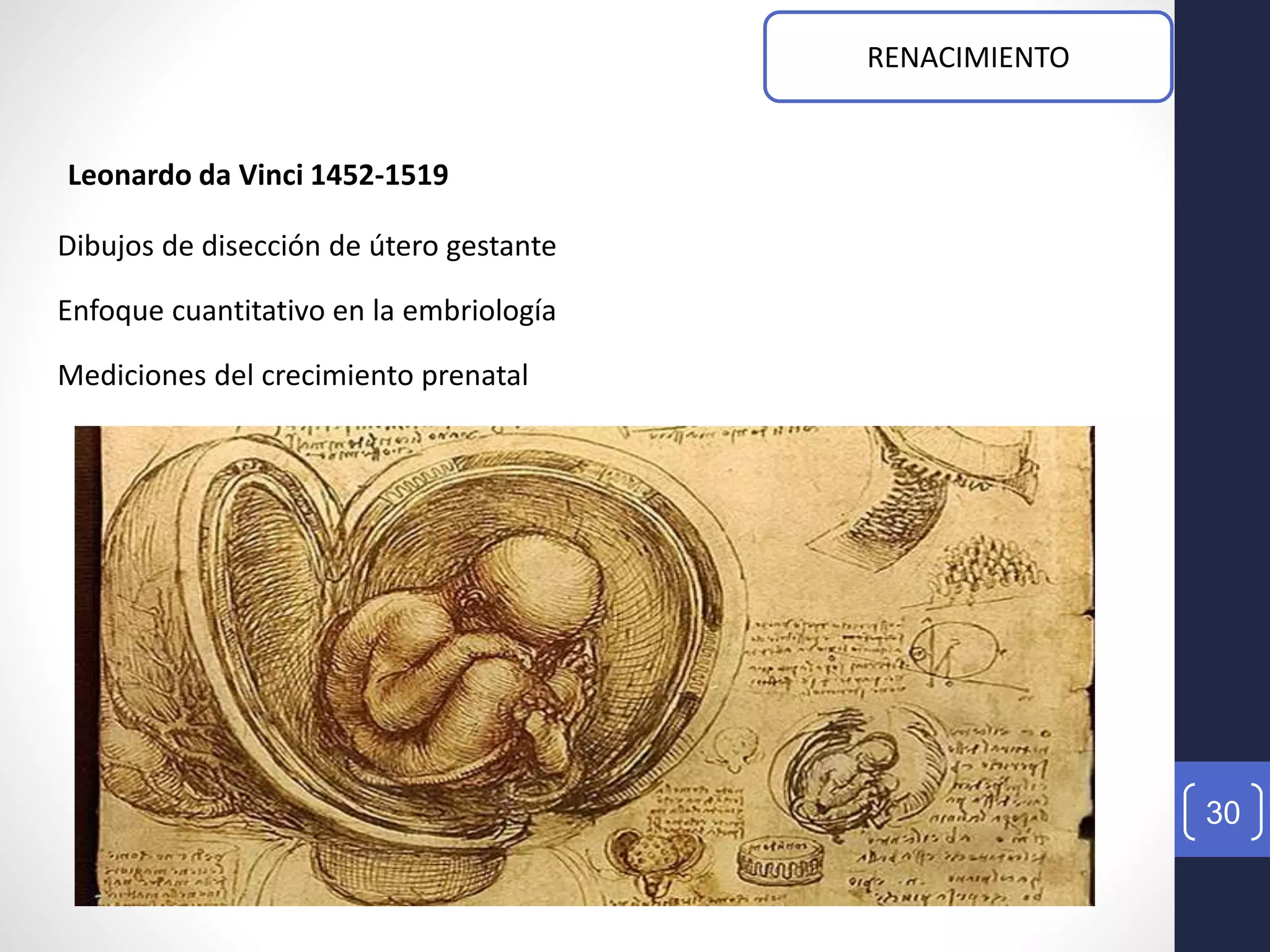 30
RENACIMIENTO
Dibujos de disección de útero gestante
Enfoque cuantitativo en la embriología
Mediciones del crecimiento prenatal
Leonardo da Vinci 1452-1519
 