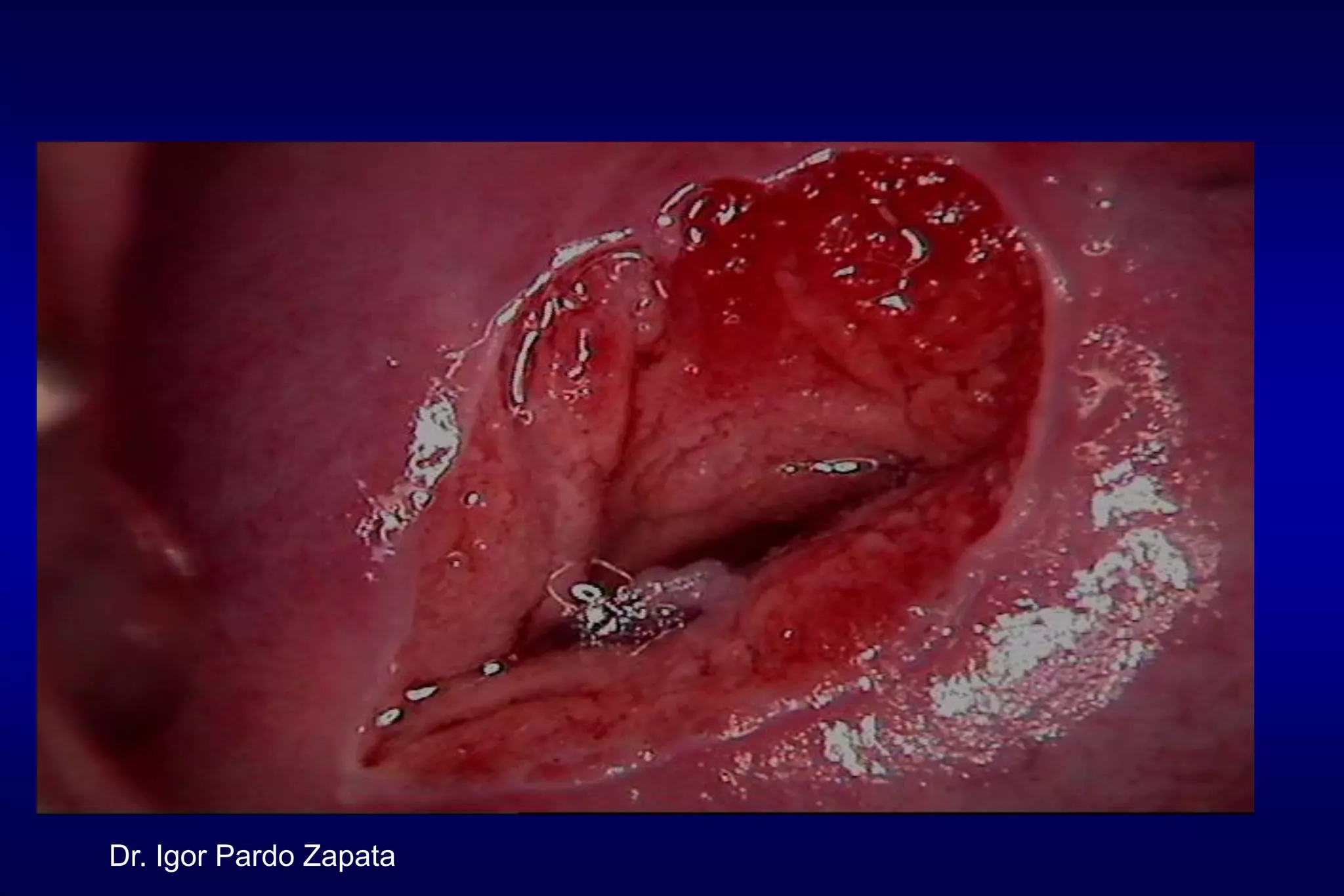 Dr. Igor Pardo Zapata
 
