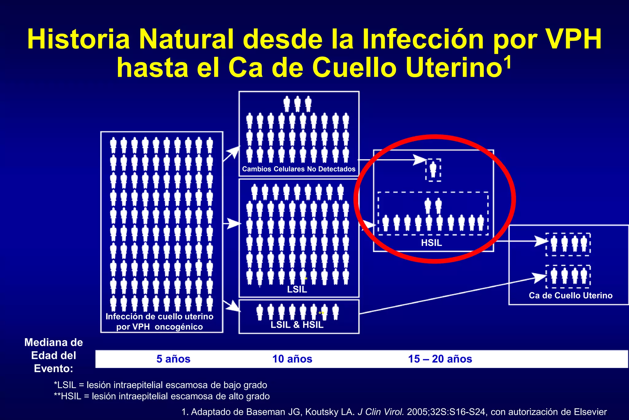 Historia Natural desde la Infección por VPH
hasta el Ca de Cuello Uterino1
*LSIL = lesión intraepitelial escamosa de bajo grado
**HSIL = lesión intraepitelial escamosa de alto grado
1. Adaptado de Baseman JG, Koutsky LA. J Clin Virol. 2005;32S:S16-S24, con autorización de Elsevier.
Mediana de
Edad del
Evento:
5 años 10 años 15 – 20 años 40 a 50
Infección de cuello uterino
por VPH oncogénico LSIL & HSIL
HSIL
Ca de Cuello Uterino
LSIL
Cambios Celulares No Detectados
*
**
 