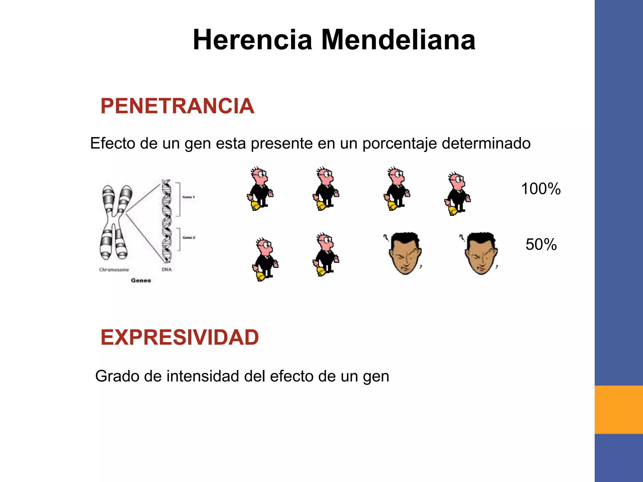 Herencia Mendeliana
PENETRANCIA
EXPRESIVIDAD
Efecto de un gen esta presente en un porcentaje determinado
100%
50%
Grado de intensidad del efecto de un gen
 