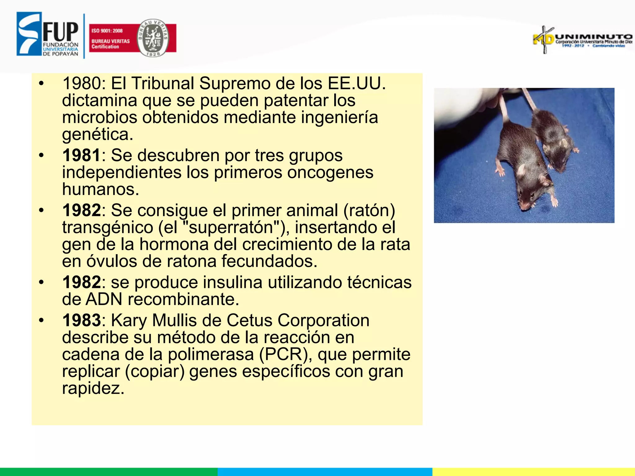 • 1980: El Tribunal Supremo de los EE.UU.
dictamina que se pueden patentar los
microbios obtenidos mediante ingeniería
genética.
• 1981: Se descubren por tres grupos
independientes los primeros oncogenes
humanos.
• 1982: Se consigue el primer animal (ratón)
transgénico (el "superratón"), insertando el
gen de la hormona del crecimiento de la rata
en óvulos de ratona fecundados.
• 1982: se produce insulina utilizando técnicas
de ADN recombinante.
• 1983: Kary Mullis de Cetus Corporation
describe su método de la reacción en
cadena de la polimerasa (PCR), que permite
replicar (copiar) genes específicos con gran
rapidez.

 