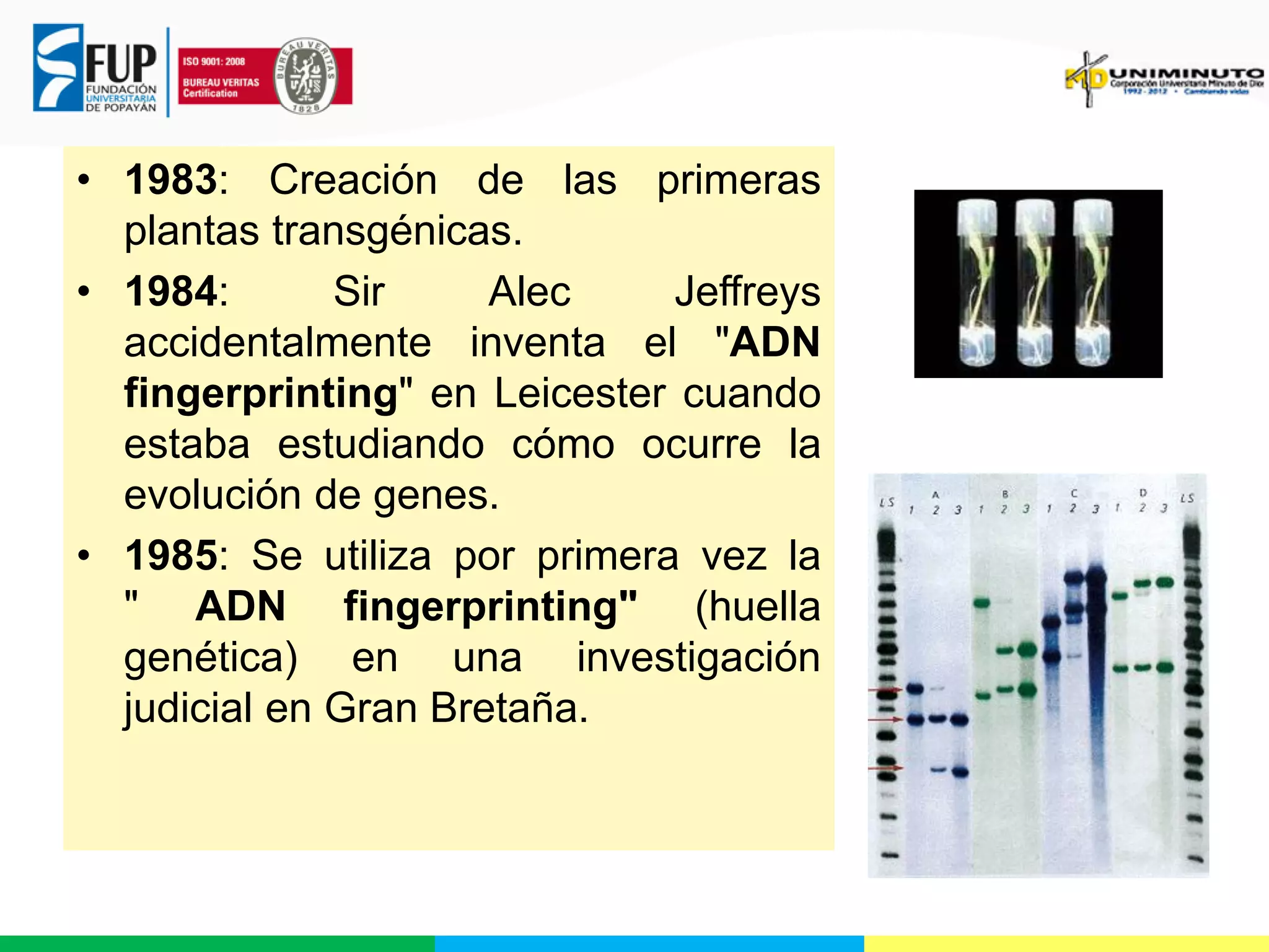 • 1983: Creación de las primeras
plantas transgénicas.
• 1984:
Sir
Alec
Jeffreys
accidentalmente inventa el "ADN
fingerprinting" en Leicester cuando
estaba estudiando cómo ocurre la
evolución de genes.
• 1985: Se utiliza por primera vez la
" ADN fingerprinting" (huella
genética) en una investigación
judicial en Gran Bretaña.

 