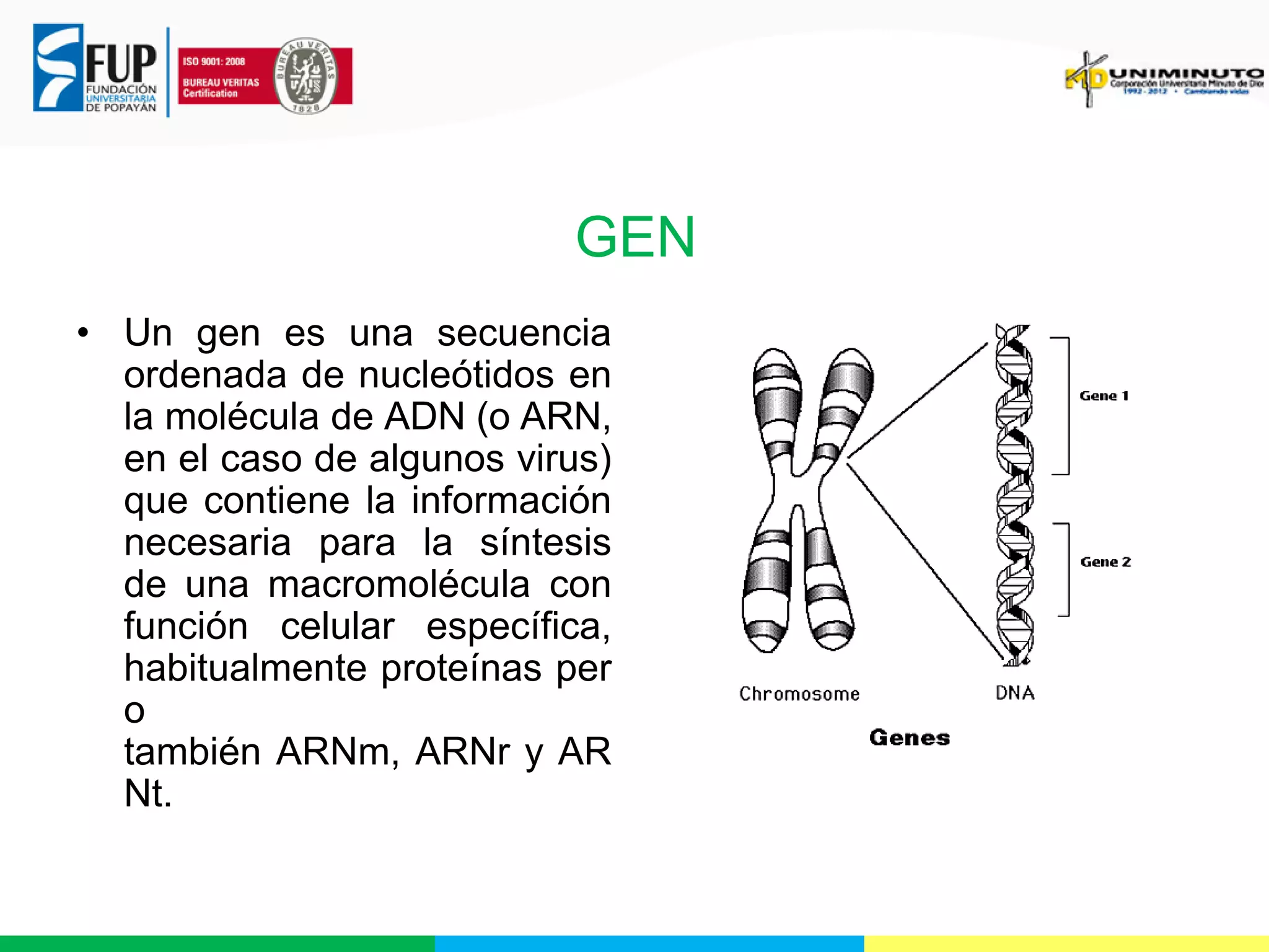 GEN
• Un gen es una secuencia
ordenada de nucleótidos en
la molécula de ADN (o ARN,
en el caso de algunos virus)
que contiene la información
necesaria para la síntesis
de una macromolécula con
función celular específica,
habitualmente proteínas per
o
también ARNm, ARNr y AR
Nt.

 