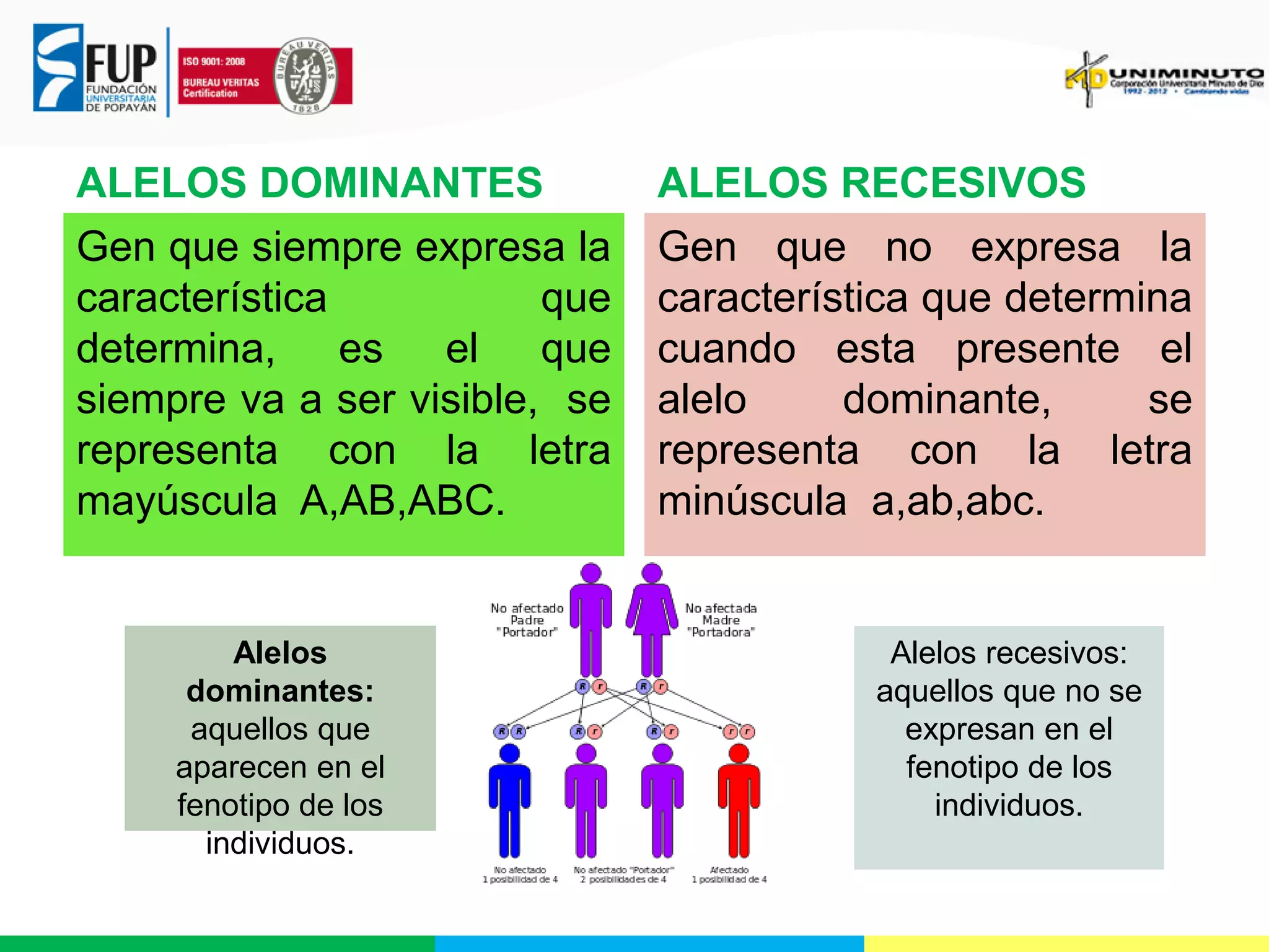 ALELOS DOMINANTES
Gen que siempre expresa la
característica
que
determina, es el que
siempre va a ser visible, se
representa con la letra
mayúscula A,AB,ABC.

Alelos
dominantes:
aquellos que
aparecen en el
fenotipo de los
individuos.

ALELOS RECESIVOS
Gen que no expresa la
característica que determina
cuando esta presente el
alelo
dominante,
se
representa con la letra
minúscula a,ab,abc.

Alelos recesivos:
aquellos que no se
expresan en el
fenotipo de los
individuos.

 
