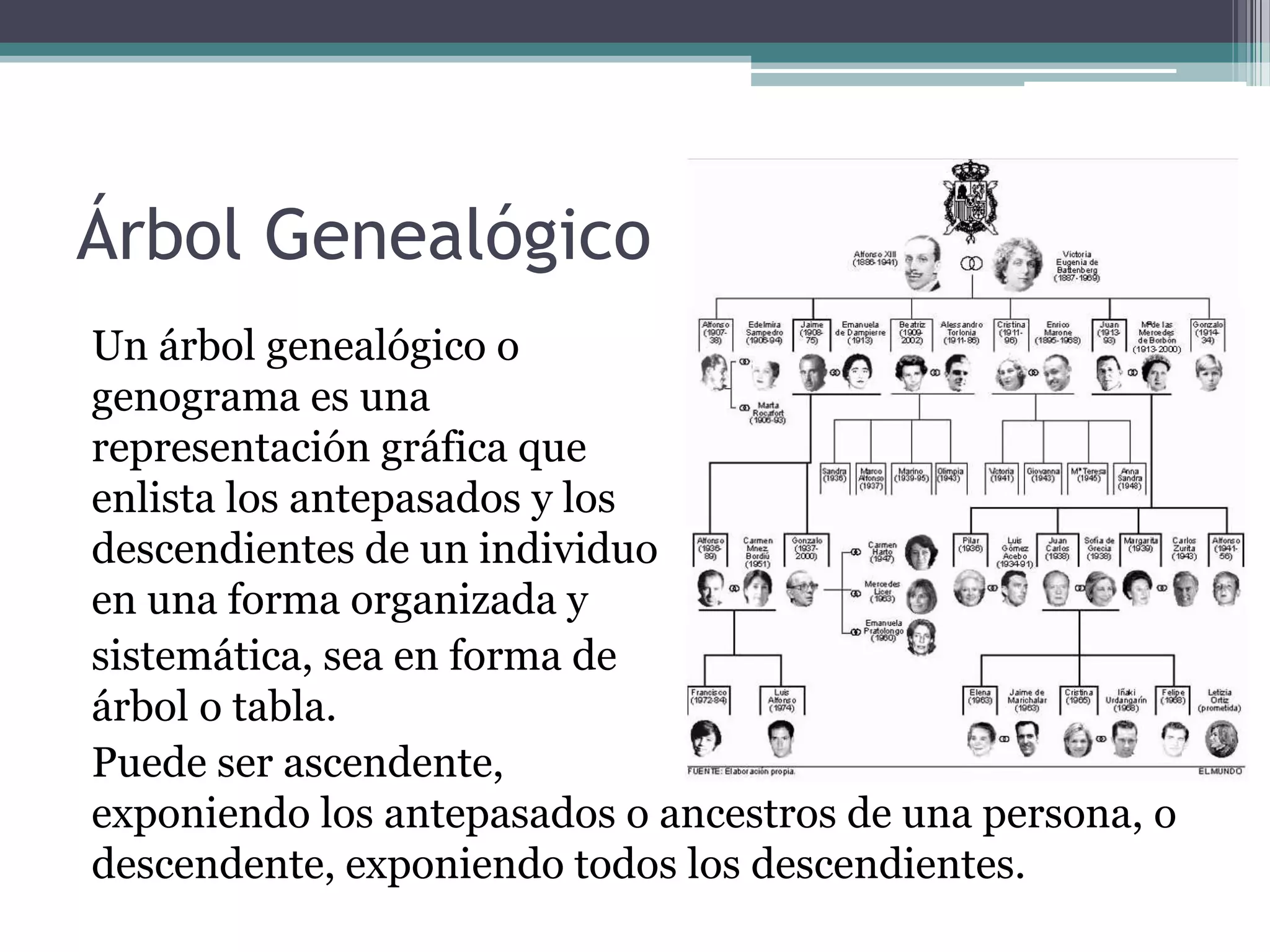 Árbol Genealógico
Un árbol genealógico o
genograma es una
representación gráfica que
enlista los antepasados y los
descendientes de un individuo
en una forma organizada y
sistemática, sea en forma de
árbol o tabla.
Puede ser ascendente,
exponiendo los antepasados o ancestros de una persona, o
descendente, exponiendo todos los descendientes.
 