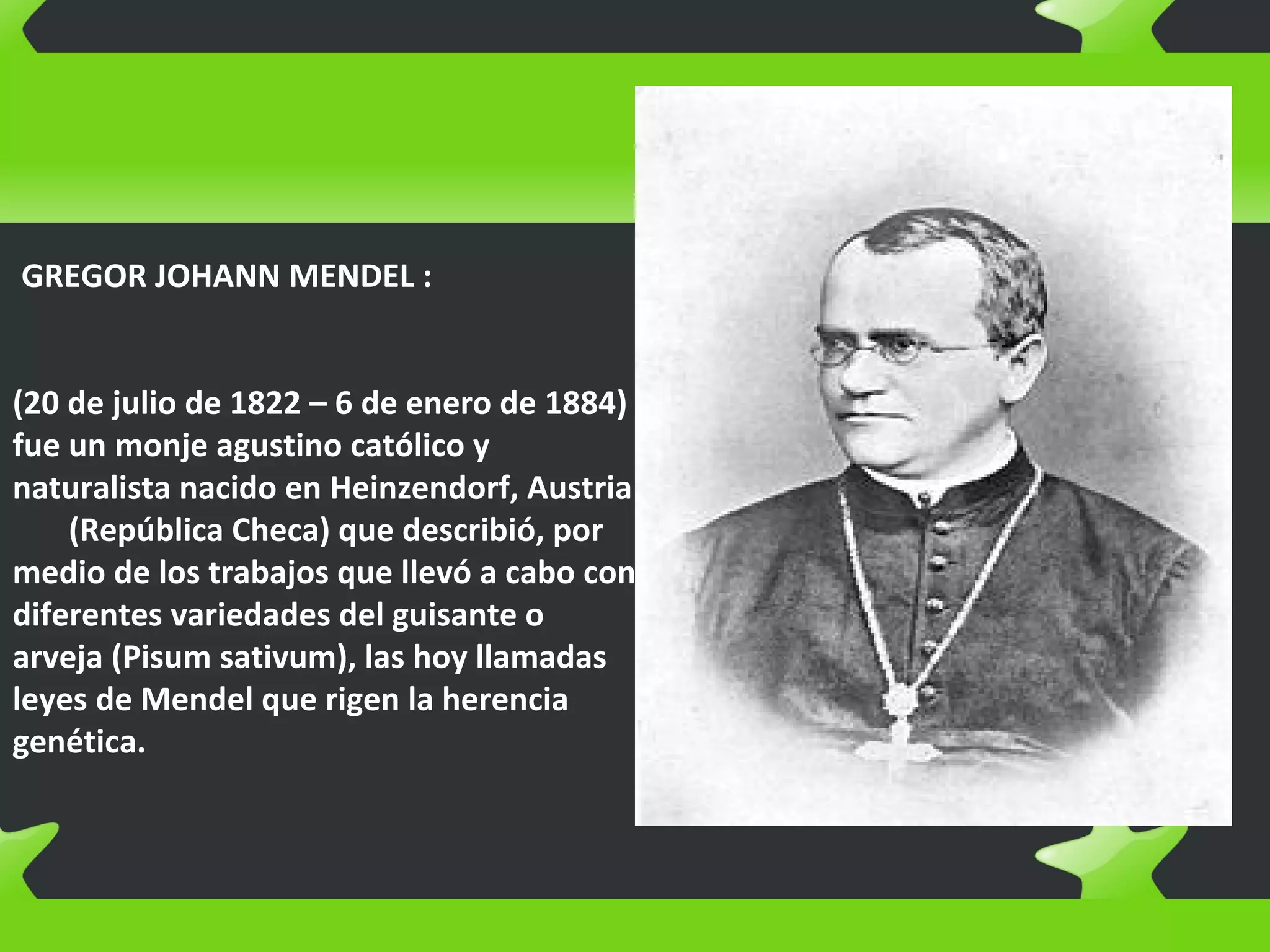  GREGOR JOHANN MENDEL :
(20 de julio de 1822 – 6 de enero de 1884)
fue un monje agustino católico y
naturalista nacido en Heinzendorf, Austria
(República Checa) que describió, por
medio de los trabajos que llevó a cabo con
diferentes variedades del guisante o
arveja (Pisum sativum), las hoy llamadas
leyes de Mendel que rigen la herencia
genética.
 