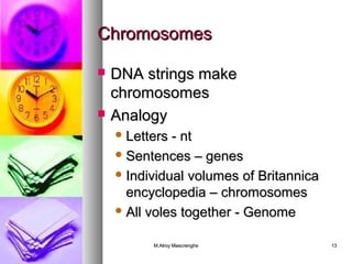CChhrroommoossoommeess 
 DDNNAA ssttrriinnggss mmaakkee 
cchhrroommoossoommeess 
 AAnnaallooggyy 
LLeetttteerrss -- nntt 
SSeenntteenncceess –– ggeenneess 
IInnddiivviidduuaall vvoolluummeess ooff BBrriittaannnniiccaa 
eennccyyccllooppeeddiiaa –– cchhrroommoossoommeess 
AAllll vvoolleess ttooggeetthheerr -- GGeennoommee 
MM..AAllrrooyy MMaassccrreenngghhee 1133 
 