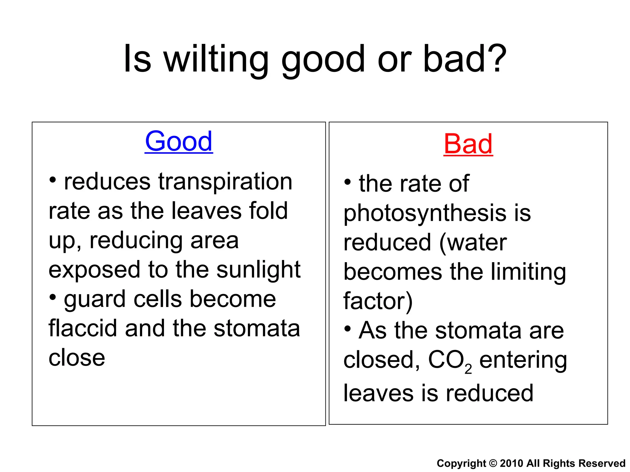 Is wilting good or bad? Good Bad reduces transpiration rate as the leaves fold up, reducing area exposed to the sunlight guard cells become flaccid and the stomata close the rate of photosynthesis is reduced (water becomes the limiting factor) As the stomata are closed, CO 2  entering leaves is reduced Copyright © 2010 All Rights Reserved 