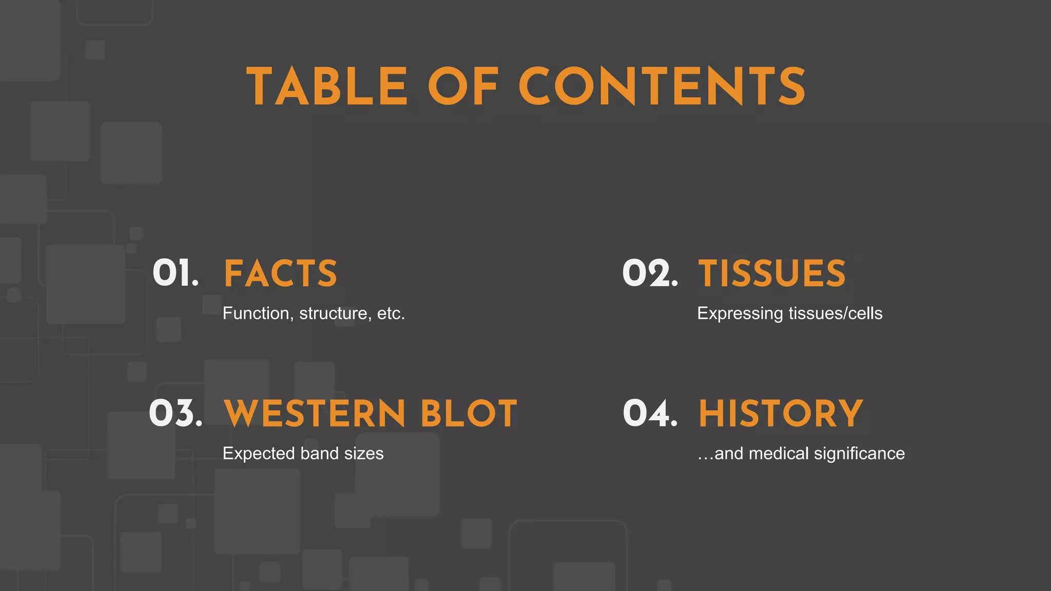 FACTS
01.
Function, structure, etc.
TISSUES
02.
Expressing tissues/cells
WESTERN BLOT
03.
Expected band sizes
HISTORY
04.
…and medical significance
TABLE OF CONTENTS
 