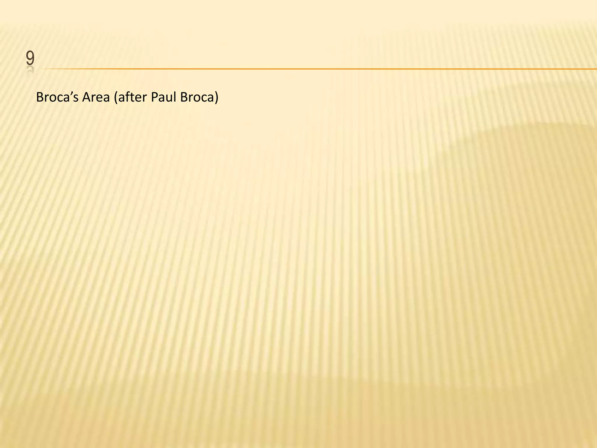 9Broca’s Area (after Paul Broca)