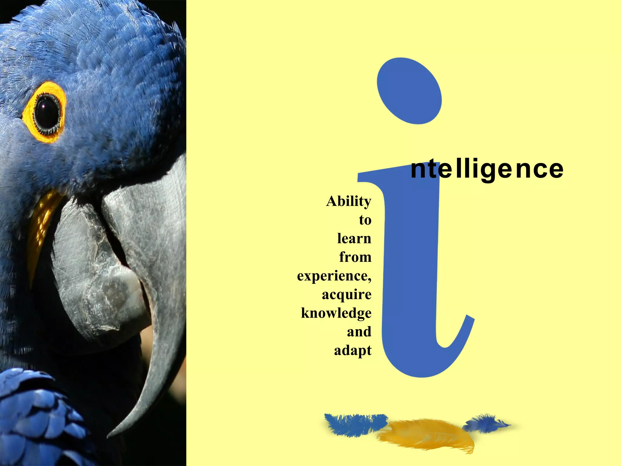 ntelligence
Ability
to
learn
from
experience,
acquire
knowledge
and
adapt

Cognition

Concepts

Problems

A.I.

Creativity

Intelligence

I.Q.

Wechsler

Bias

Delay

Terman

Heredity

Gardner
Animal

 