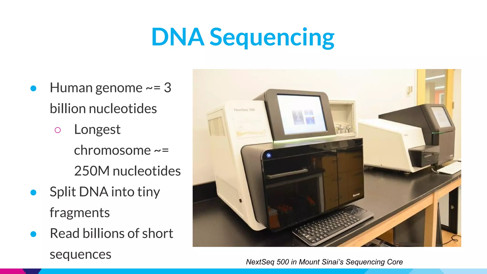 DNA Sequencing
NextSeq 500 in Mount Sinai’s Sequencing Core
● Human genome ~= 3
billion nucleotides
○ Longest
chromosome ~=
250M nucleotides
● Split DNA into tiny
fragments
● Read billions of short
sequences
 