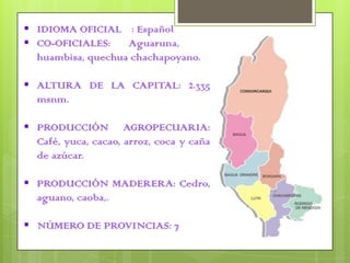 IDIOMA OFICIAL	 : Español