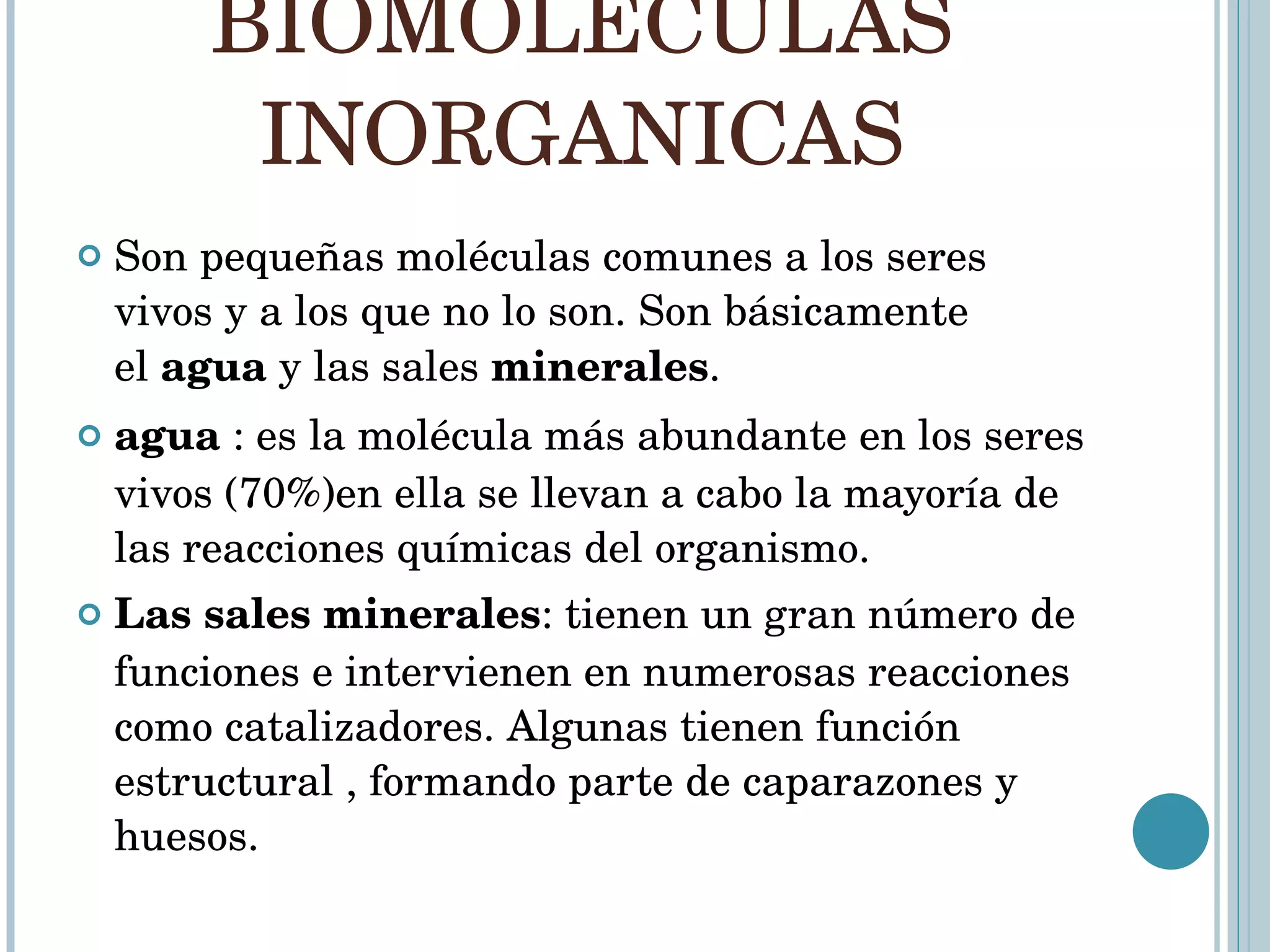 BIOMOLECULAS INORGANICAS Son pequeñas moléculas comunes a los seres vivos y a los que no lo son. Son básicamente el  agua  y las sales  minerales . agua  : es la molécula más abundante en los seres vivos (70%)en ella se llevan a cabo la mayoría de las reacciones químicas del organismo. Las sales minerales : tienen un gran número de funciones e intervienen en numerosas reacciones como catalizadores. Algunas tienen función estructural , formando parte de caparazones y huesos. 