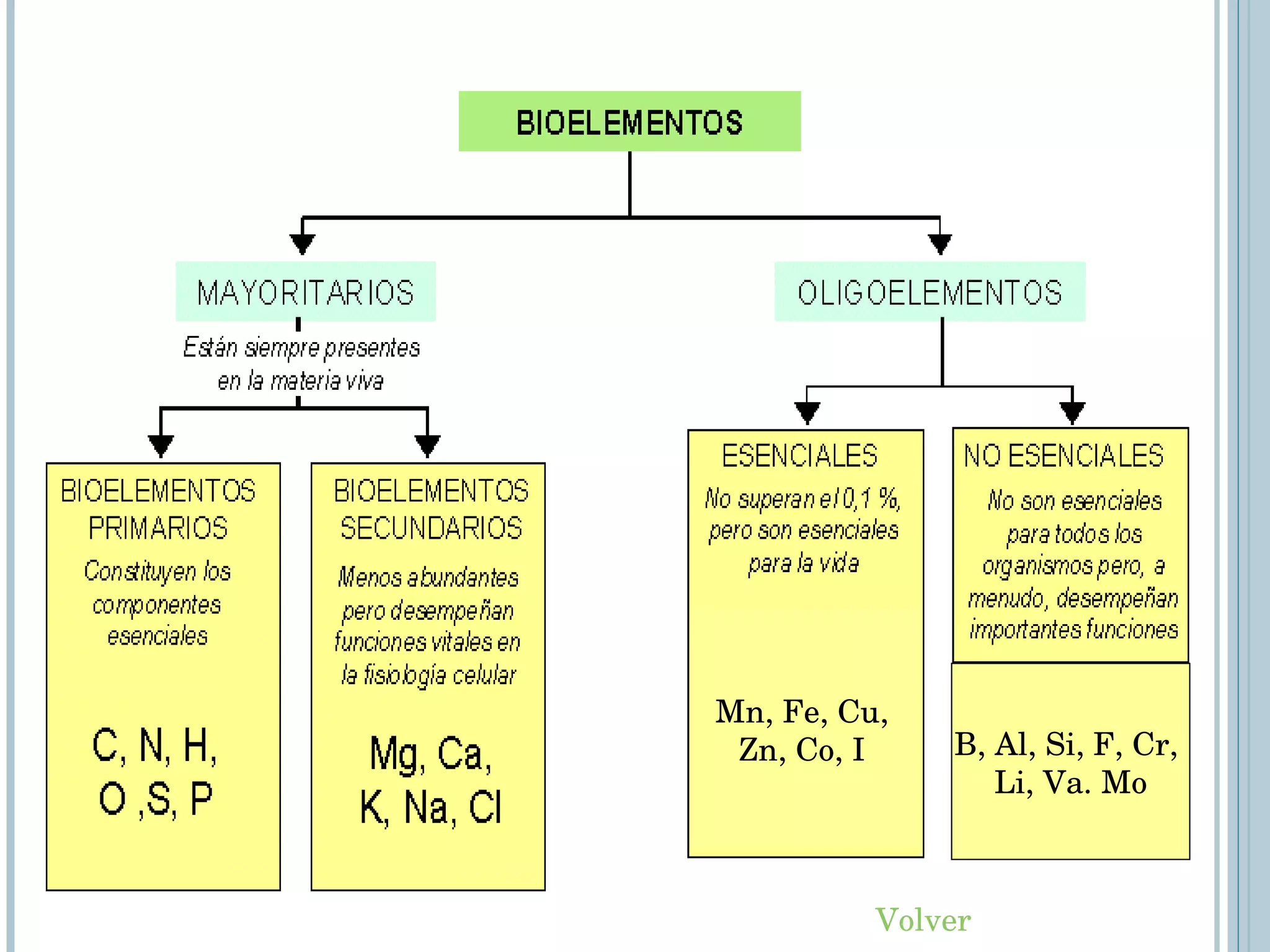 Volver Mn, Fe, Cu,  Zn, Co, I  B, Al, Si, F, Cr,  Li, Va. Mo 