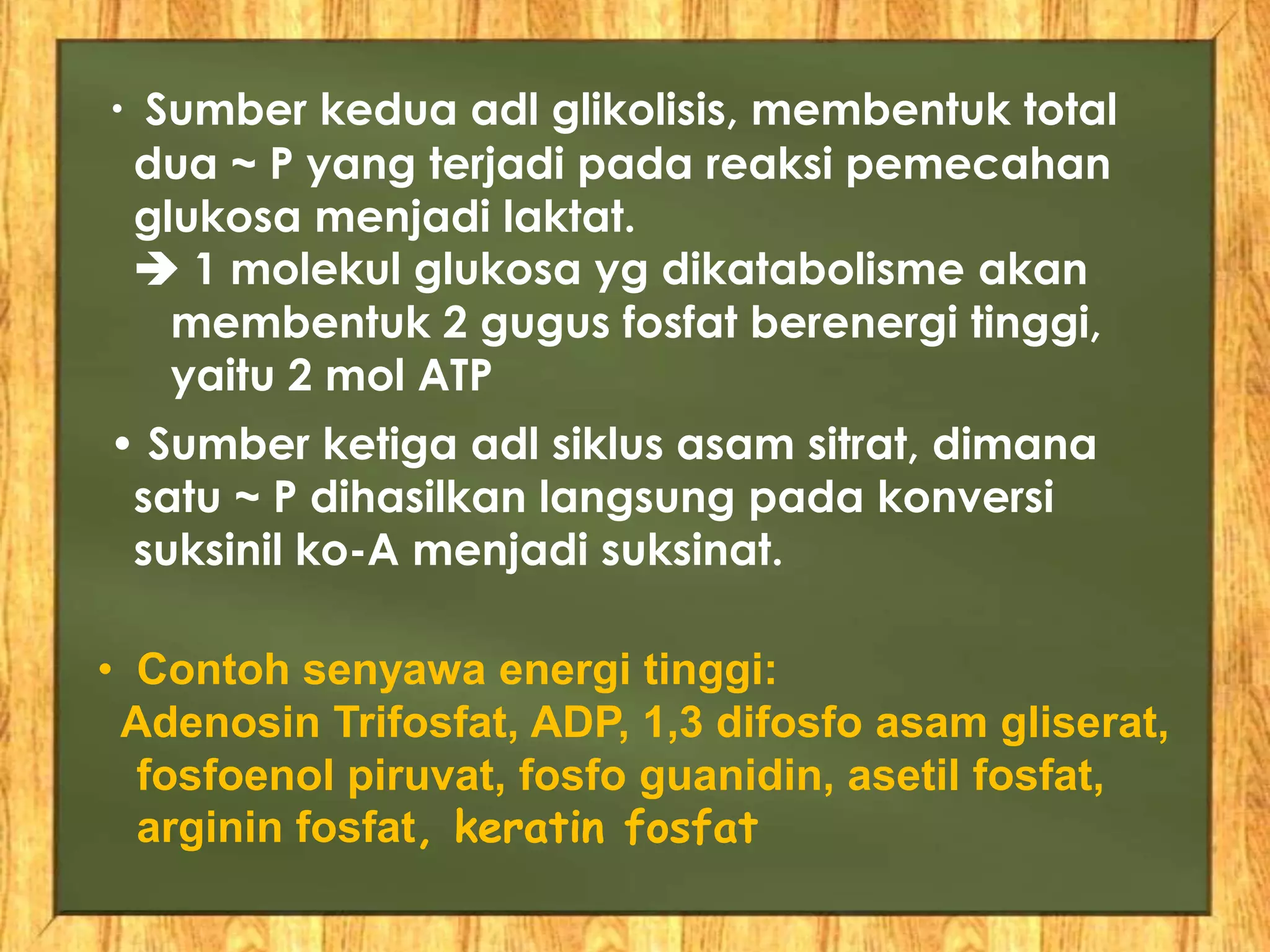 • Sumber kedua adl glikolisis, membentuk total
dua ~ P yang terjadi pada reaksi pemecahan
glukosa menjadi laktat.
 1 molekul glukosa yg dikatabolisme akan
membentuk 2 gugus fosfat berenergi tinggi,
yaitu 2 mol ATP
• Sumber ketiga adl siklus asam sitrat, dimana
satu ~ P dihasilkan langsung pada konversi
suksinil ko-A menjadi suksinat.
• Contoh senyawa energi tinggi:
Adenosin Trifosfat, ADP, 1,3 difosfo asam gliserat,
fosfoenol piruvat, fosfo guanidin, asetil fosfat,
arginin fosfat, keratin fosfat
 