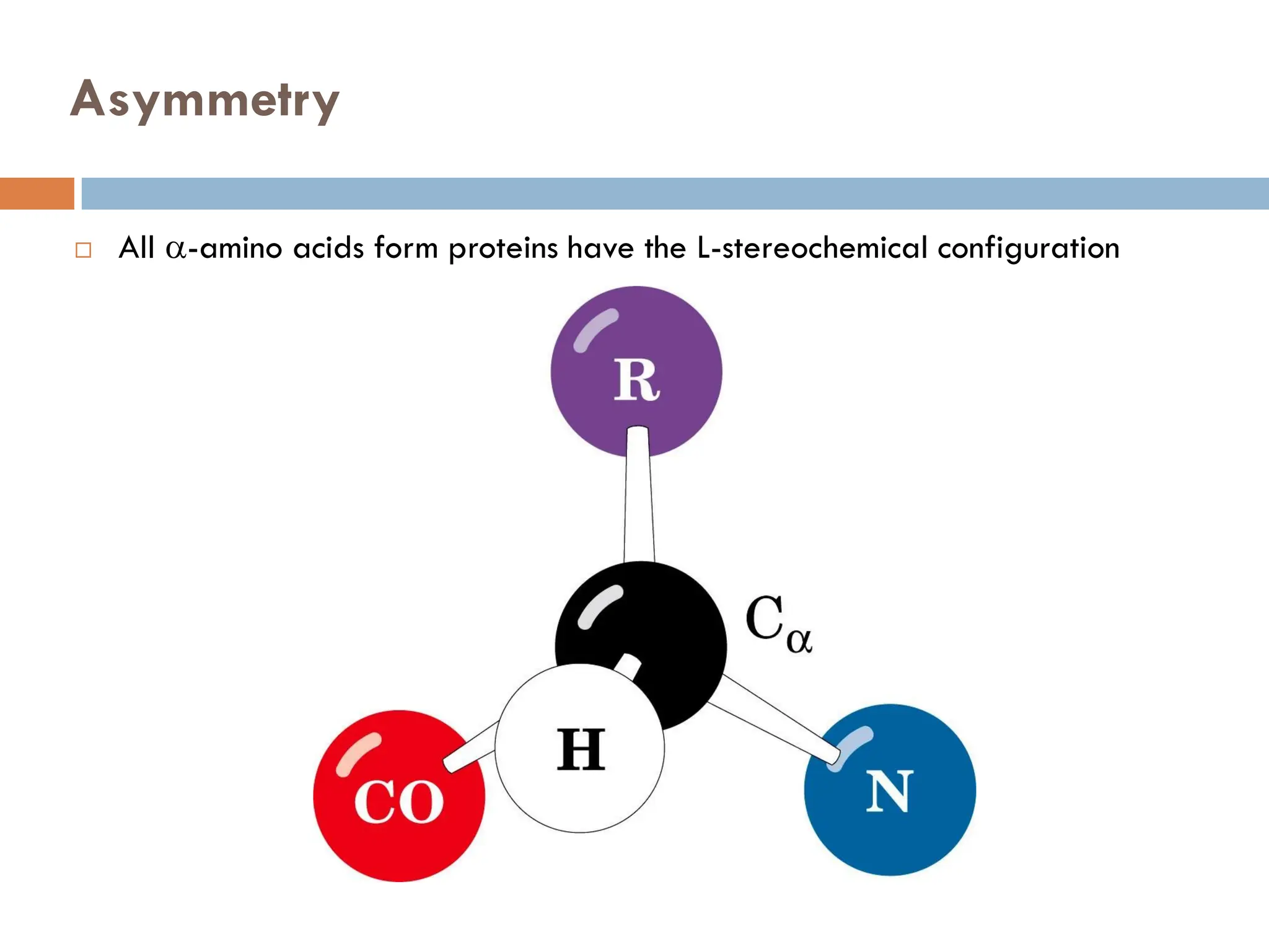 Asymmetry
 All -amino acids form proteins have the L-stereochemical configuration
 
