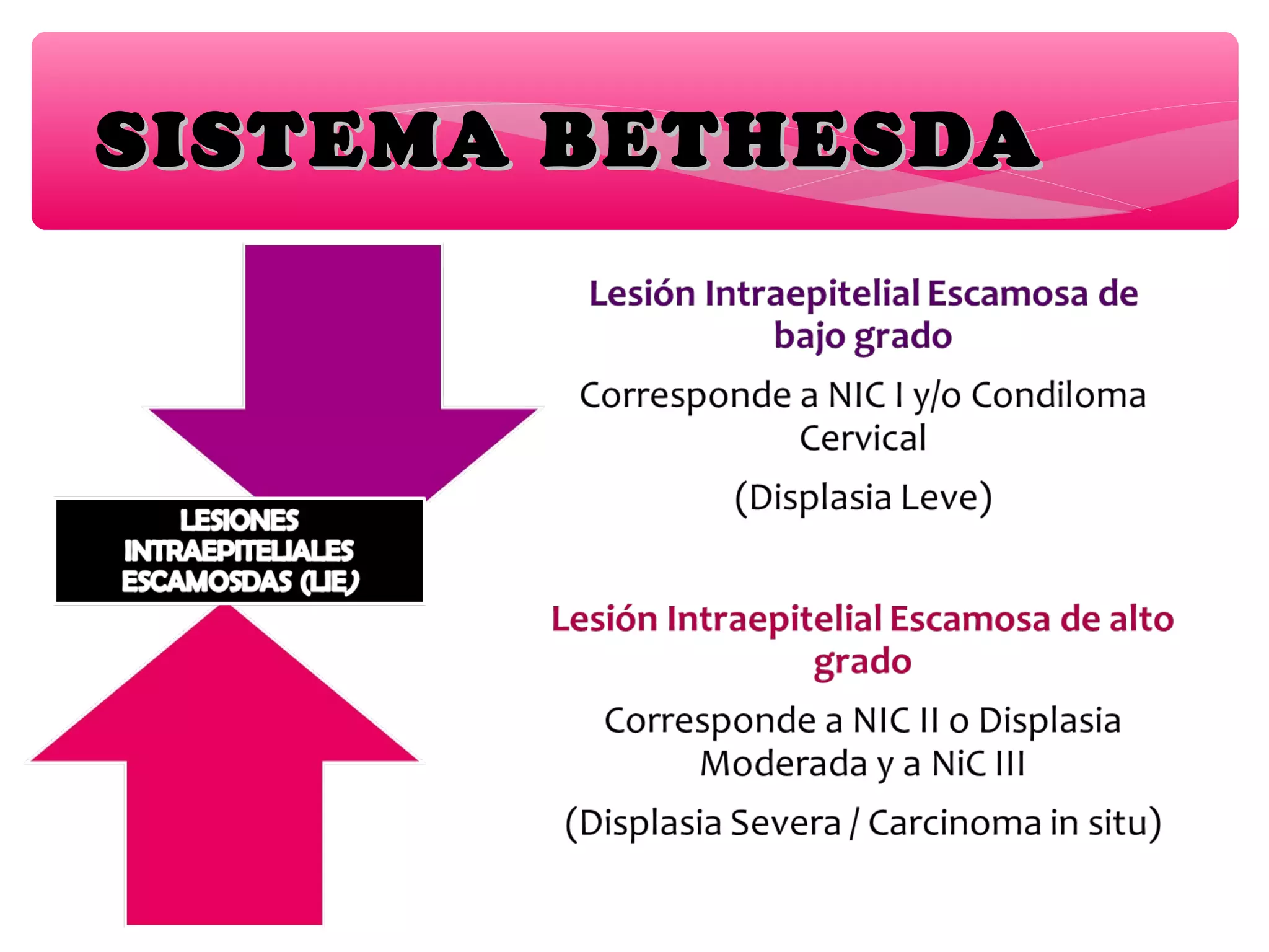 SISTEMA BETHESDASISTEMA BETHESDA
 