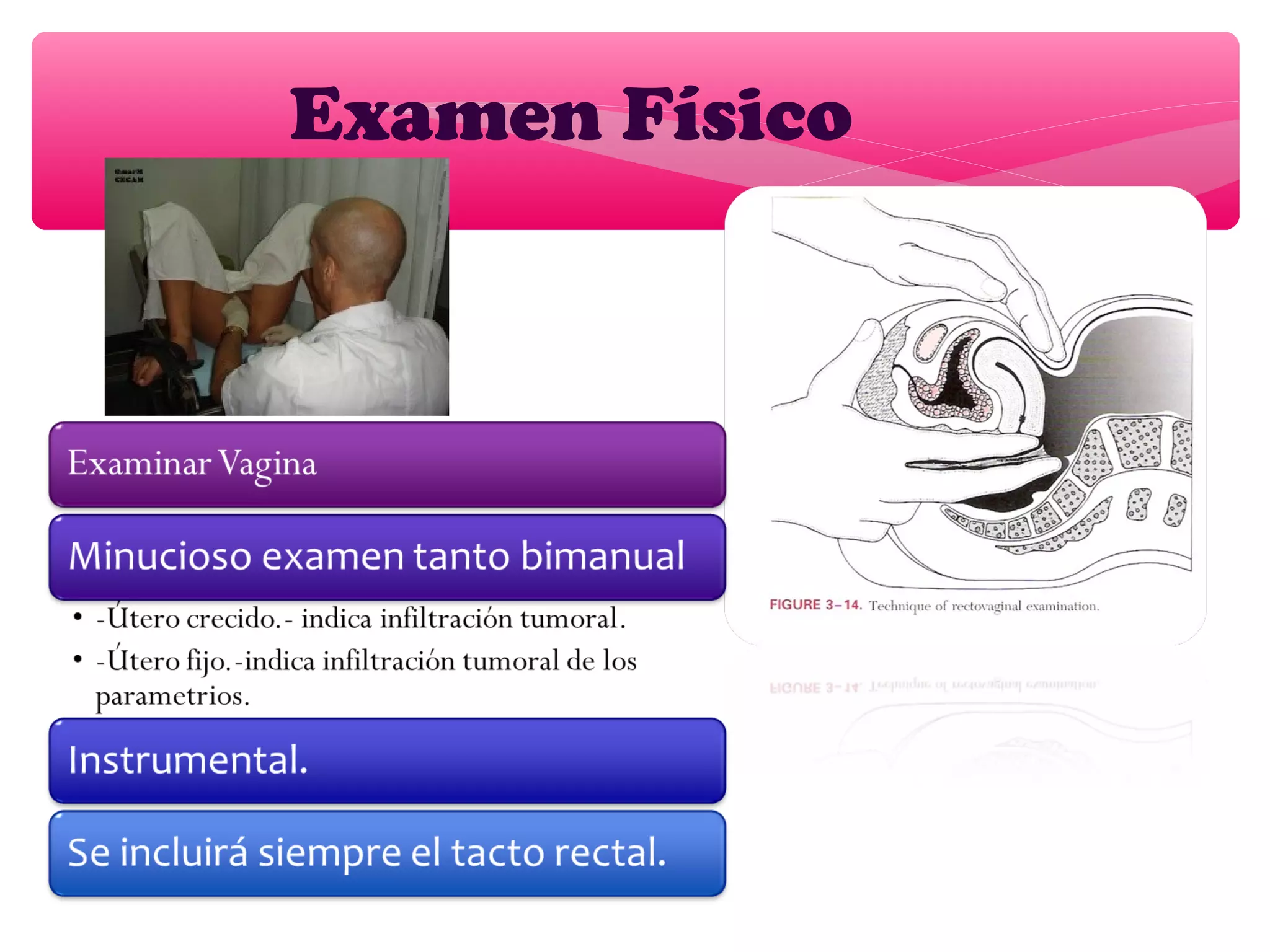 Examen Físico
 