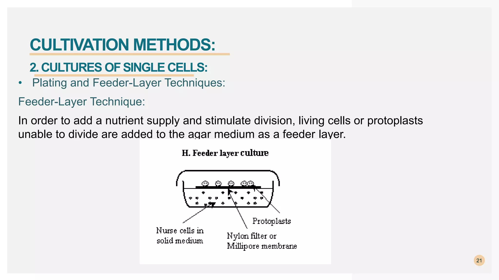 21
CULTIVATION METHODS:
• Plating and Feeder-Layer Techniques:
Feeder-Layer Technique:
In order to add a nutrient supply and stimulate division, living cells or protoplasts
unable to divide are added to the agar medium as a feeder layer.
2. CULTURES OFSINGLE CELLS:
 