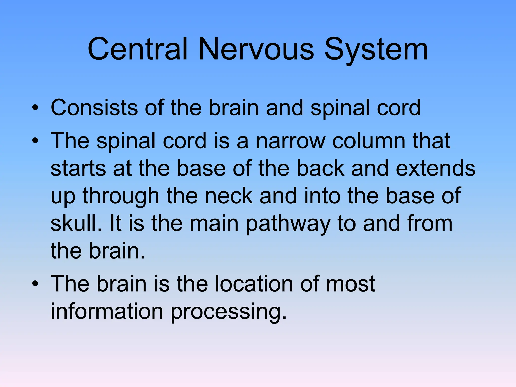 Central Nervous System
• Consists of the brain and spinal cord
• The spinal cord is a narrow column that
starts at the base of the back and extends
up through the neck and into the base of
skull. It is the main pathway to and from
the brain.
• The brain is the location of most
information processing.
 