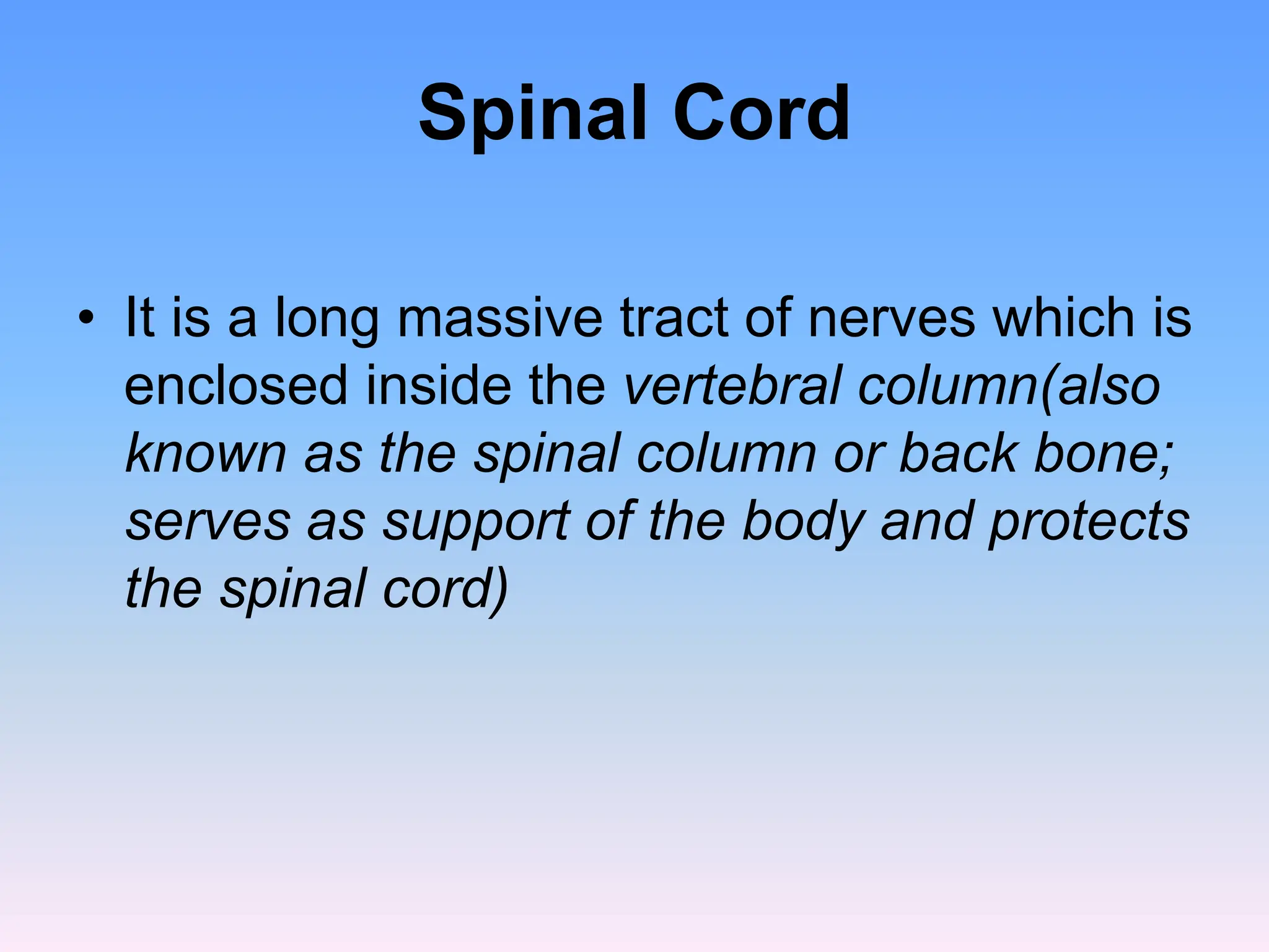 Spinal Cord
• It is a long massive tract of nerves which is
enclosed inside the vertebral column(also
known as the spinal column or back bone;
serves as support of the body and protects
the spinal cord)
 